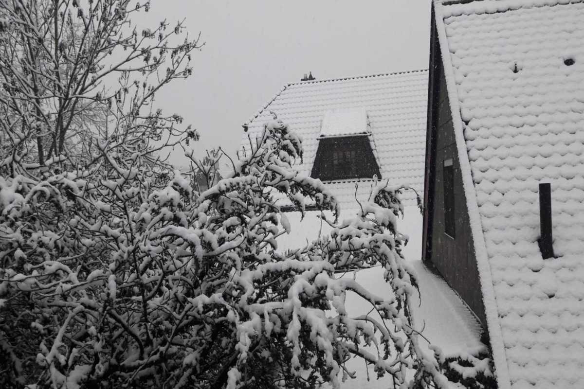 Η χιονισμένη Βαυαρία μέσα από τα δικά σας μάτια (03/02/19) 30
