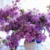 Πασχαλιές τα άνθη της Παναγιάς και της Άνοιξης 10