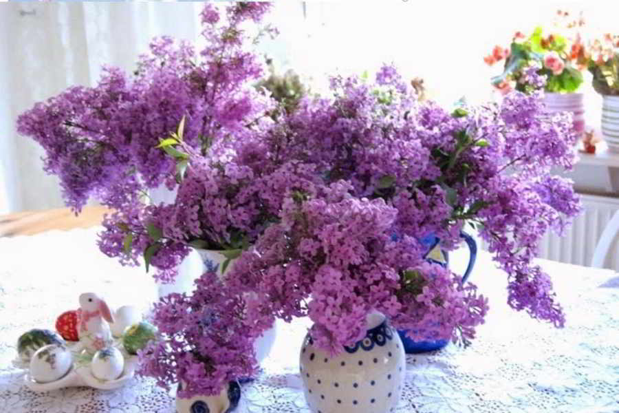 Πασχαλιές τα άνθη της Παναγιάς και της Άνοιξης